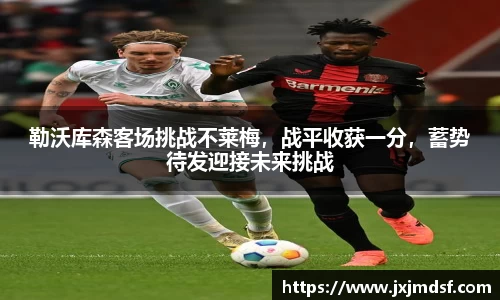 雷竞技raybet